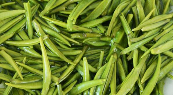 茶葉農(nóng)殘檢測儀