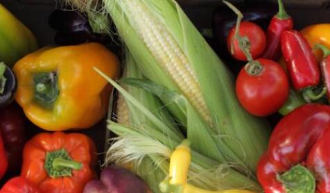 農(nóng)殘快速檢測儀 農(nóng)殘快速檢測儀